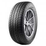 Antares Majoris R1 295/30ZR22 103W XL
