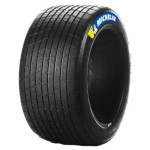 Michelin Pilot Sport GT P2H 24/61—17