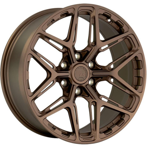 LS FG53