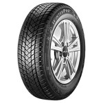 GT Radial WinterPro 2 205/55R17 95H XL 